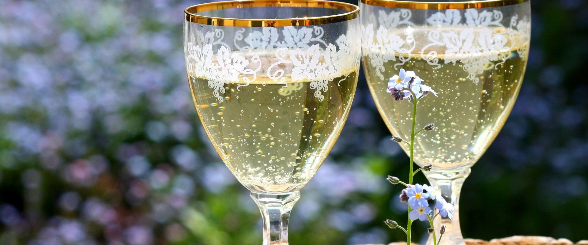 Sparkling wine Two glasses of sparkling wine are on the table.